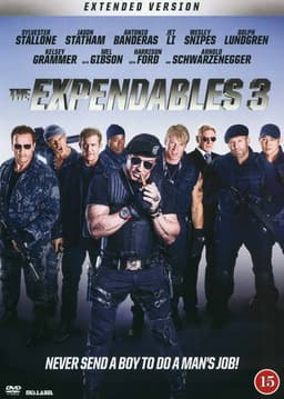 THE EXPENDABLES 3 (DVD)