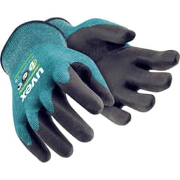 uvex 6009010 1 Paar