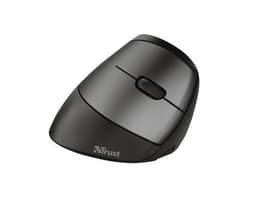 TRUST 24110 Mouse