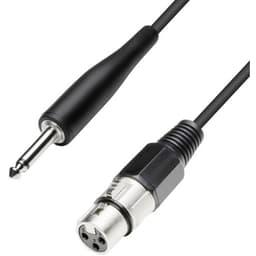 Paccs XLR Forbindelsesledning [1x XLR-tilslutning - 1x Jackstik 6,3 mm] 5.00 m Sort