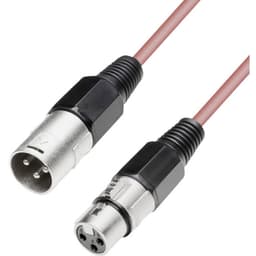 Paccs XLR Forbindelsesledning [1x XLR-tilslutning - 1x XLR-stik] 1.00 m Rød