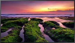 Samsung 55" smart digital infoskjerm LH55QBBEBGCXEN