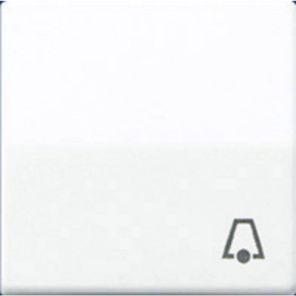 asset