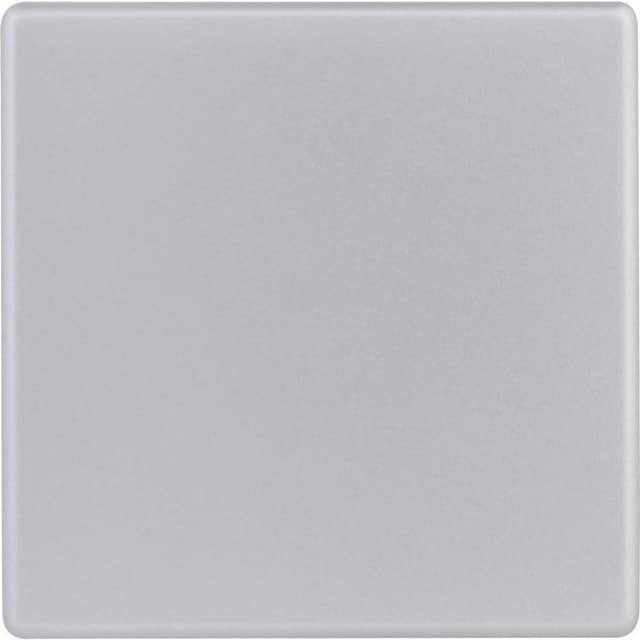 REV Vippa/centrumplatta Silver 0236400706