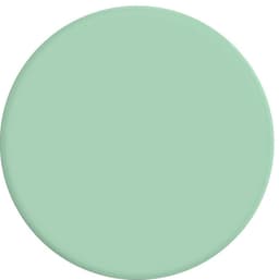 POPSOCKETS PopGrip Basic grep til mobile enhter (pastell mint)