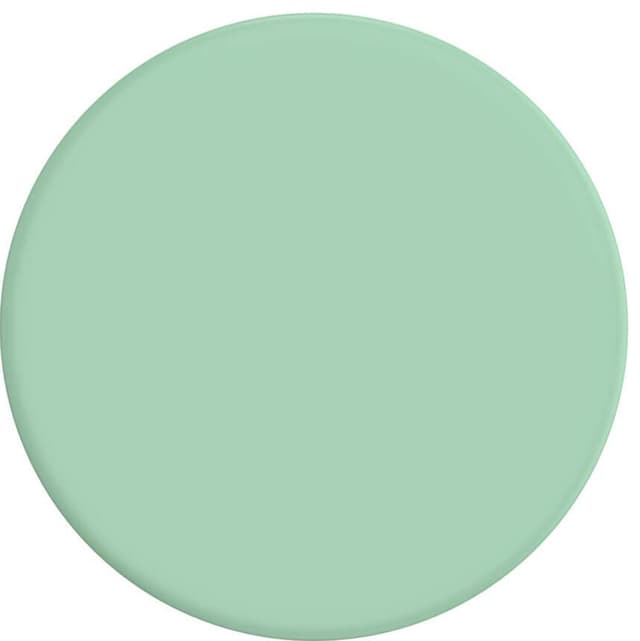 POPSOCKETS PopGrip Basic grep til mobile enhter (pastell mint)