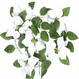 Julepyntkrans med juleroser (1,8 m) Sølv / grønn