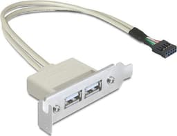 DeLOCK intern kabel for USB 2.0, IDC10 ha - 2xUSB 2.0 A ho, 0,5m
