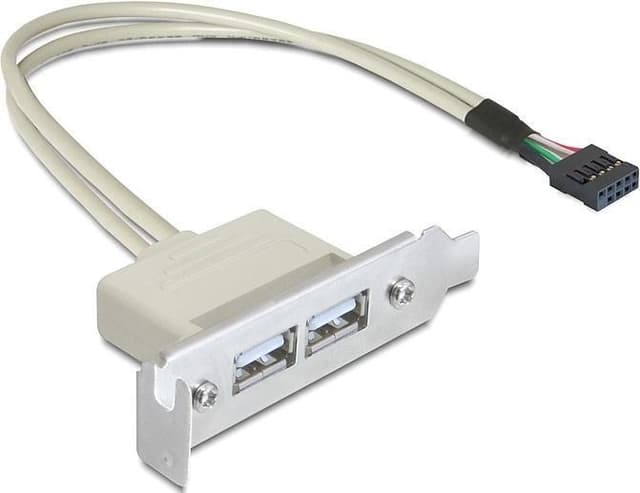 DeLOCK intern kabel for USB 2.0, IDC10 ha - 2xUSB 2.0 A ho, 0,5m