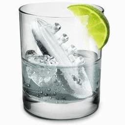 Gin & Titonic Iskubsform