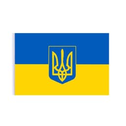 Håndholdt ukrainsk flagg med våpenskjold 14 × 21 cm polyester Blå/gul