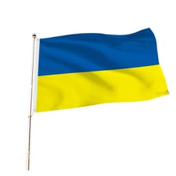Flagget til Ukraina polyester 94 × 60 cm Blå/gul