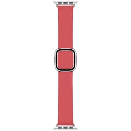 Apple Watch 40 mm moderni ranneke M (pioni)