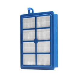 Ersättningsfilter Flerfärgad Electrolux EFSW1/E12