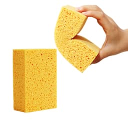Keittiön sieni Keltainen