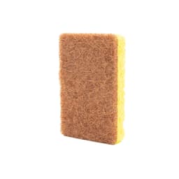 Køkken svamp Brun