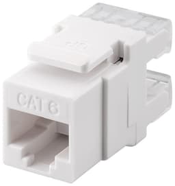 Keystone-moduuli RJ45 CAT 6, UTP, 250 MHz