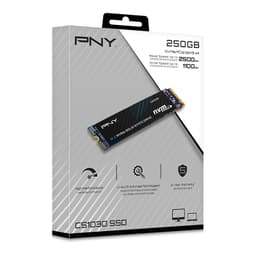 PNY CS1030 M.2 NVMe intern SSD (250 GB)