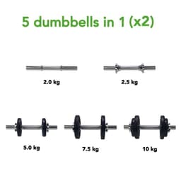 Tunturi levypaino valurauta - 1,25kg / Ø30 mm