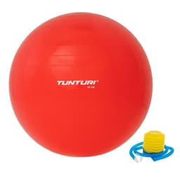 Tunturi Gymball 65 cm