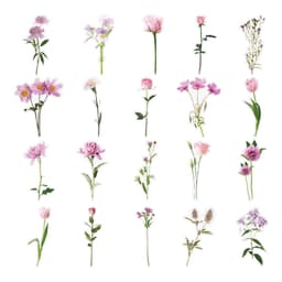 Klistremerker med blomsterdesign 40 stk