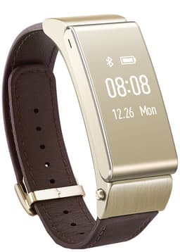 Huawei TalkBand B2 Aktivitetsarmband (guld)