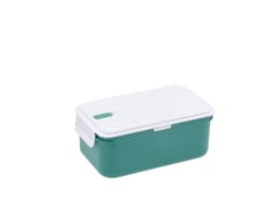 Lunch box 20.4x11.7x 8.4 cm Green PP