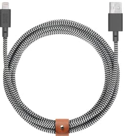Native Union Belt XL USB-A til Lightning-kabel (zebra)