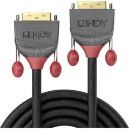 LINDY DVI Anslutningskabel 10.00 m 36240 Svart [1x