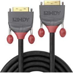LINDY DVI Anslutningskabel 15.00 m 36241 Svart [1x