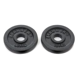 Hammer Sport Hammer Weight Discs 30 mm 2 x 1,25 kg
