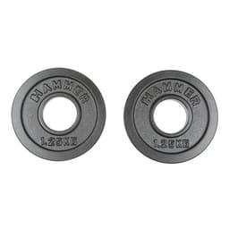 Hammer Sport Weight Discs 50 mm (Pair), Viktskiva Järn 1,25 kg