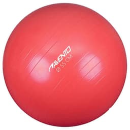 vidaXL Gymnastikboll rosa 55 cm