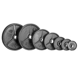 Nordic Fighter NF Viktskiva jern 50 mm 25 kg