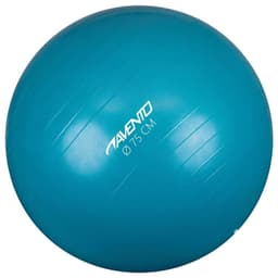 vidaXL Gymnastikboll blå 75 cm