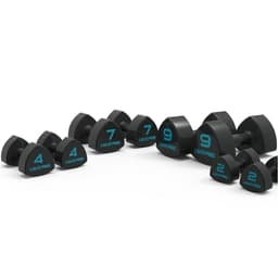 LivePro Studio Dumbbell 5 kg