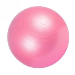 Gorilla Sports Fitnessboll - Yogaboll - Pilatesboll 55 cm