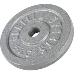 Gorilla Sports Vægtskiver JERN Sølv 5 kg