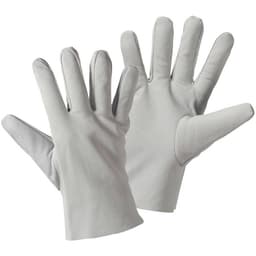 Nappa Arbetshandske Storlek (handskar): 10, XL EN 388