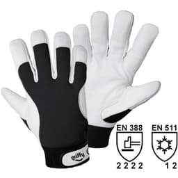 Nappa Monteringshandskar Storlek (handskar): 10, XL EN