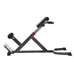 Nordic Fighter 45 Degree Hyper Extension