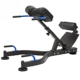 MAXXUS HYPEREXTENSION MAXXUS PRO