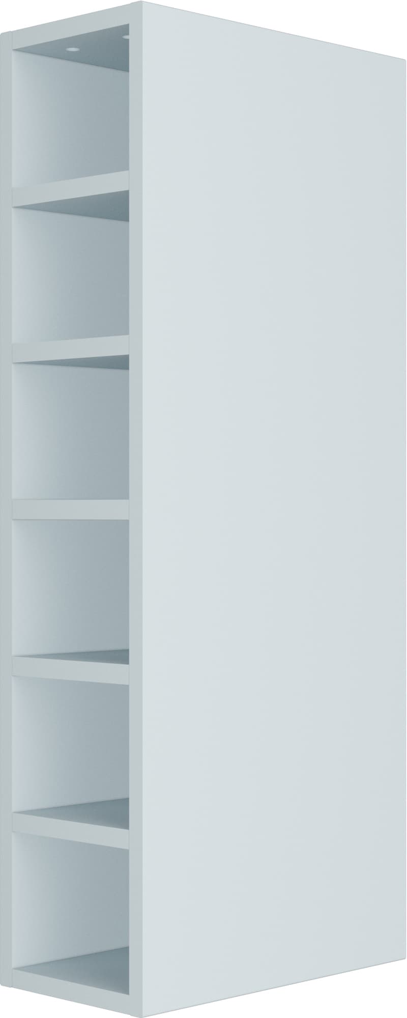 asset