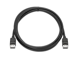 HP DisplayPort-kabelsett, 2 m, DisplayPort, DisplayPort, Hankjønn, Hankjønn, Sort