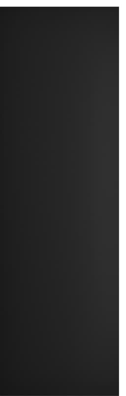 Epoq Pure Matt kaapinovi keittiöön 60x195 (black)