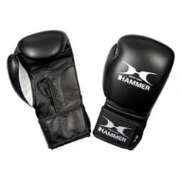 Hammer Boxing 14 oz
