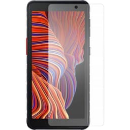 Renkforce Displaybeskyttelsesglas 1 stk