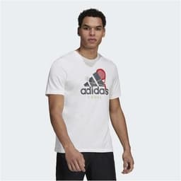 Adidas Graphic Logo Padel Tee, Miesten padel ja tennis T-paita