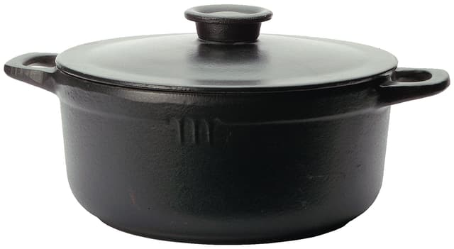 Fiskars Brasserie valurautapata 1018866
