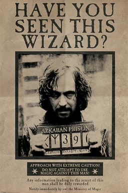 Harry Potter plakat Wanted